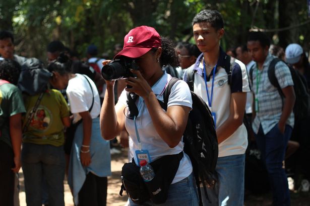 Photographing in the forest